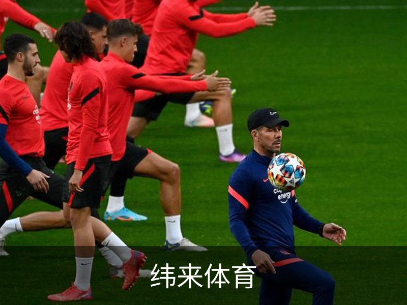 了解纬来体育